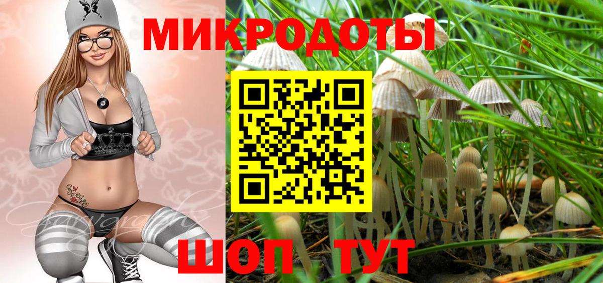 купить наркотики цена  Галлюциногенные грибы прущие грибы  Вход с VPN  Новошахтинск  Галлюциногенные грибы Psilocybe 
